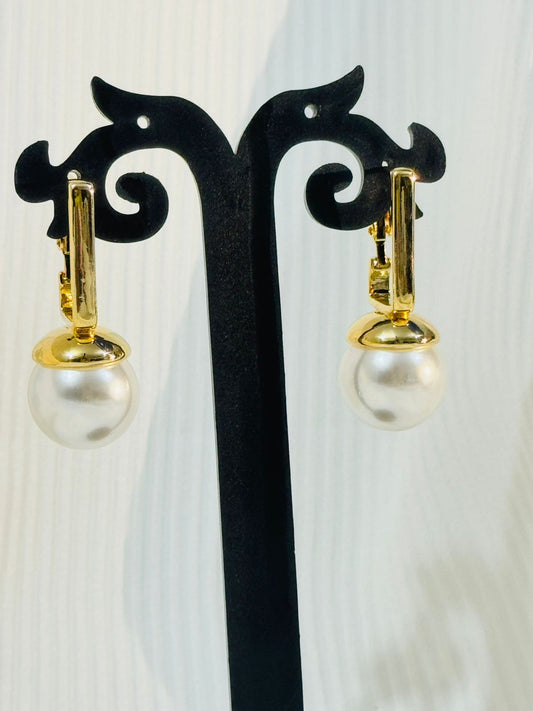 Elegant Golden Hoop Earrings